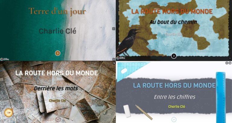 Un quiz pour un roman